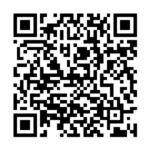 甚至还远不如洞虚老祖和无昆上人当中的任何一人二维码生成