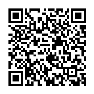 甚至这一路上龙傲天也感受到不少达到了天尊境界的凶兽的气息二维码生成