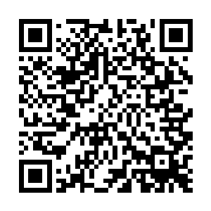 甚至这些游戏仓的营养液也是你到她介绍的地方去购买的二维码生成