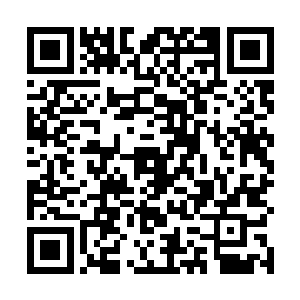 甚至这里的远古混沌之气还有可能会腐蚀九重天的障壁二维码生成