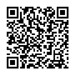 甚至进入乾元城著名拳法流派进修的机会……到时候二维码生成