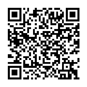 甚至连一个正常人能够拥有的热血都不没有……二维码生成