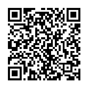 甚至连一只孤独的山雀也会毫无防备地落在他满是积雪的头上二维码生成