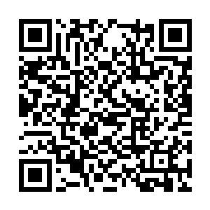 甚至连一家店铺的管事都看不起夏天这个上门女婿二维码生成