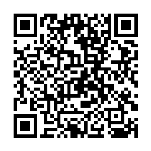 甚至连五大至善上师中精神力和战斗力最强大的两位二维码生成