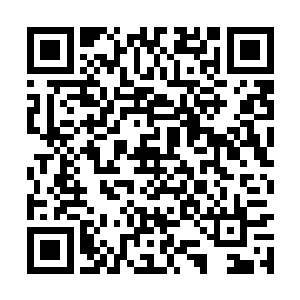 甚至连他自己都不能确定最后有多少人能活着回来二维码生成