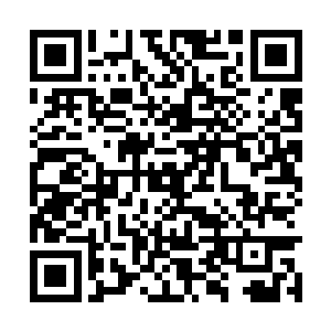 甚至连他身上已经所剩不多的悟道古茶树也用上了二维码生成