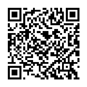 甚至连同以帝师自居的翁同龢这次都参与了进来二维码生成