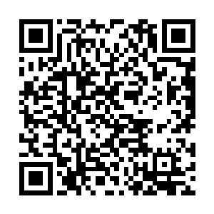 甚至连大宗师级强者都已经一个跟着一个冒出来了二维码生成