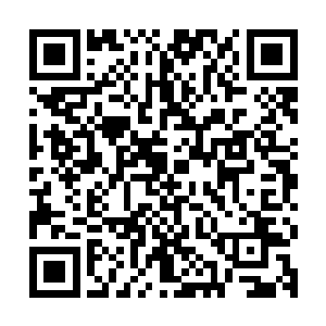 甚至连它那坚韧无比的头冠都像是被某种巨人给生生砸碎了一样二维码生成