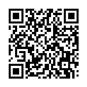 甚至连宫殿内部墙壁上镶嵌着的夜明珠二维码生成