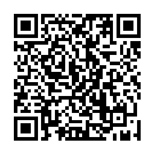 甚至连山鬼好不容易才得到的一台高级机甲自爆了反应炉二维码生成