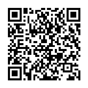 甚至连已经站在数十里开外的布拉德都忍不住发出一闷哼声二维码生成