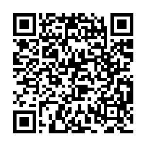 甚至连林家的未来之星林少宝也早已经命丧歹徒之手二维码生成