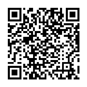 甚至连楚旬等人都渐渐感觉到体内的力量有些供不应求了二维码生成