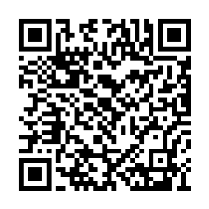 甚至连浑身上下的毛细孔中都开始渗出点点鲜血二维码生成