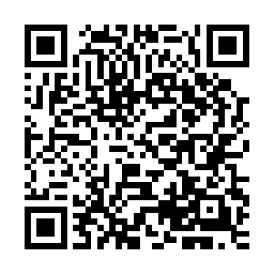 甚至连素来不喜欢夸人的旧西楚老太师都在朝廷上说了几句好话二维码生成