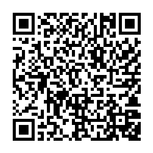 甚至连自己体内源自于圣甲虫基因的元素抵抗能力都无法抵挡这烈焰的焚烧二维码生成