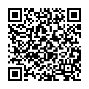 甚至连自己的术法都还没来得及施展便命陨当场二维码生成