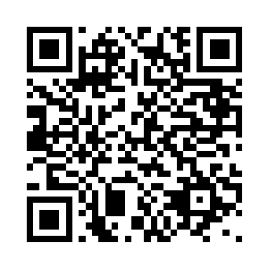 甚至连虞家在京城里的地位都比不上二维码生成