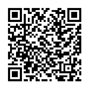 甚至连血色心魔和吕轻尘都被一股强大的力量卷走二维码生成