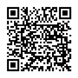 甚至连表演团里实力最差的运动员都能ko他们两个中的任何一个二维码生成