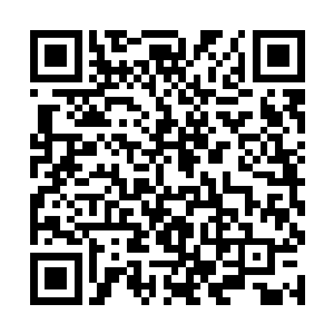 甚至连这个松岛菜菜子能不能活下去都是一个未知数二维码生成