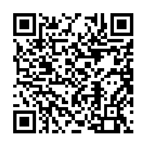 甚至连这几乎算是寸草不生的沙漠中都充满了灵气二维码生成