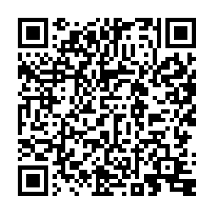 甚至连送终都做不到……也许……也许他们临终前还想再见我一次却不得……二维码生成