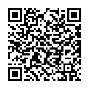 甚至连镇守交易区的征罗和经常留在交易区的多康二维码生成