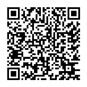 甚至连长老殿的那些人都认为宋濂多半是已经被那幕后黑手毁尸灭迹了二维码生成