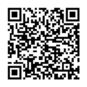 甚至连黄道十二宫大阵都被这爆炸的余波冲击得动荡不断二维码生成