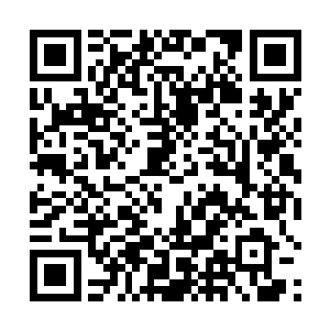 甚至连龙傲天语气之中那丝毫不掩饰的嘲讽都顾不上了二维码生成