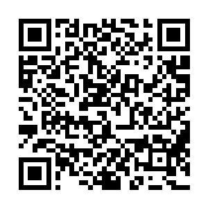 甚至连龙脉术士的血统都未必纯正到掌握完全的巨龙语言二维码生成
