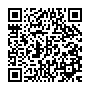 甚至逃也一般地以指风割断了自己尤被小凤儿抓在手指上的发丝二维码生成