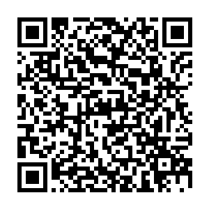 甚至那些从天空中飘落的鹅毛大雪中还开始凝聚出一些大小不一的冰块碎片二维码生成