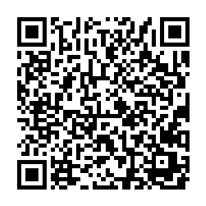 甚至那些小家庭里面的人教育自己孩子的时候都要求对着他的雕像跪拜二维码生成