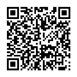 甚至那人的身影才刚刚从成荫的绿树缝隙中露出来二维码生成