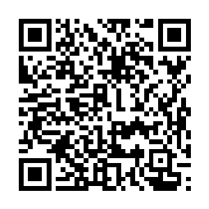 甚至都怀疑对方是不是两只能够在白天行走的鬼魂二维码生成