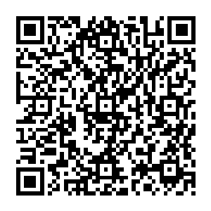 甚至都没有看到两个男人高空接力和一个小女孩儿鞭子一卷就把人甩到空中的惊险场面二维码生成