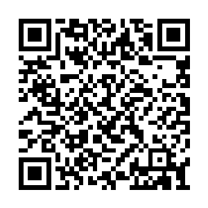 甚至都牵扯到了官库陈粮的销售等等一系列环节二维码生成