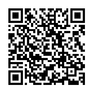 甚至风天翔在想是不是要在南极宫布置一个局部范围的蝴蝶阵二维码生成