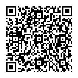 甚至黑暗议会下属的很多人都会变身……但这个雇佣兵首领的变身却明显有所不同的二维码生成