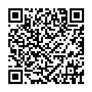 甚至龙傲天几个人偶尔也发现了几具尊级的骸骨二维码生成