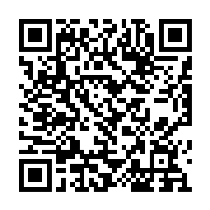 甚至龙傲天已经能够感受到对方那恐怖的杀意了二维码生成