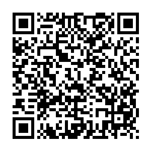 生化人最初被提出来的时候就是为了治疗很多人类目前无能为力的疾病二维码生成