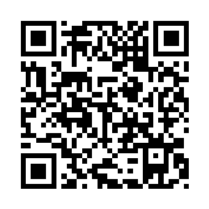 生命之树对这个世界的环境改造已经很大了二维码生成