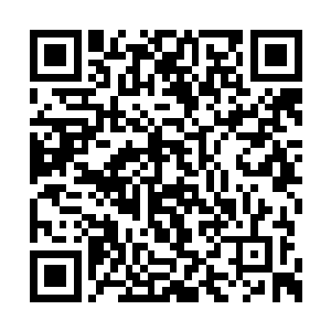 生命构造术演化出来的亡灵构造学制造了七原罪二维码生成