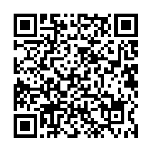 生命献祭改造是献祭出自己的生命力来对物体注入活力二维码生成