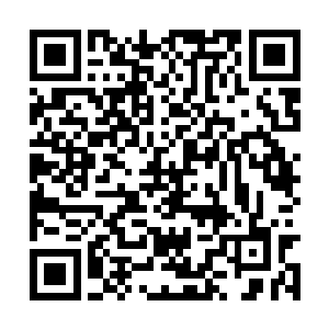 生命精气都会在最短的时间内将龙傲天的伤势恢复二维码生成